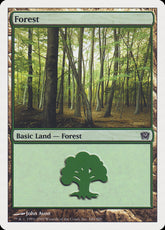 Floresta / Forest - Magic: The Gathering - MoxLand